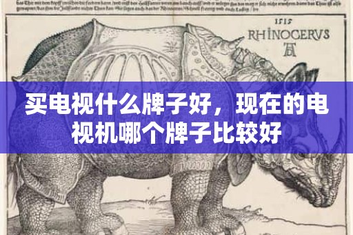 买电视什么牌子好，现在的电视机哪个牌子比较好