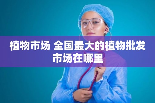 植物市场 全国最大的植物批发市场在哪里