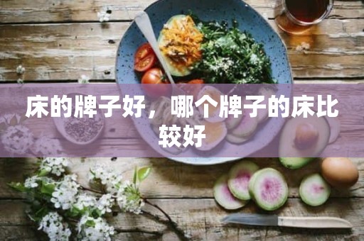 床的牌子好，哪个牌子的床比较好