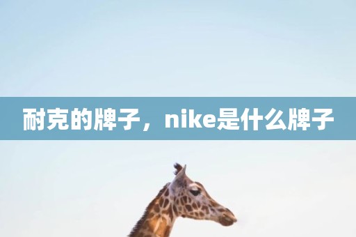 耐克的牌子，nike是什么牌子