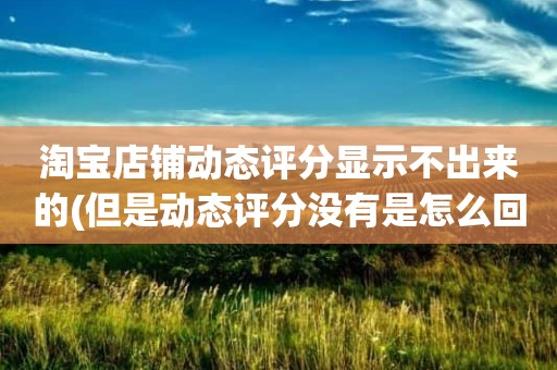 淘宝店铺动态评分显示不出来的(但是动态评分没有是怎么回事)
