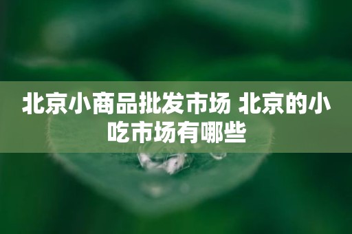 北京小商品批发市场 北京的小吃市场有哪些