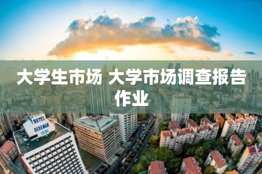 大学生市场 大学市场调查报告作业