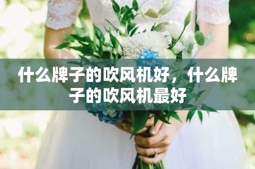 什么牌子的吹风机好，什么牌子的吹风机最好