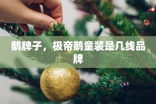 鹅牌子，极帝鹅童装是几线品牌