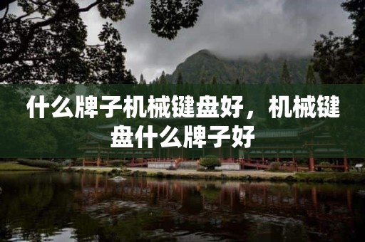 什么牌子机械键盘好，机械键盘什么牌子好