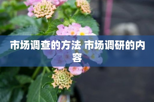 市场调查的方法 市场调研的内容