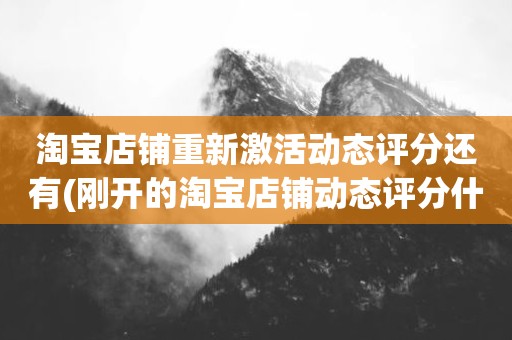淘宝店铺重新激活动态评分还有(刚开的淘宝店铺动态评分什么时候开始显示)