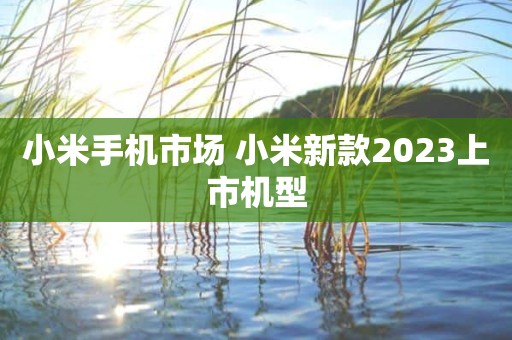 小米手机市场 小米新款2023上市机型