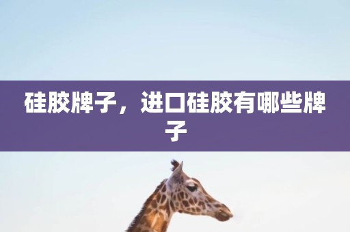 硅胶牌子，进口硅胶有哪些牌子