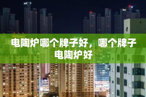 电陶炉哪个牌子好，哪个牌子电陶炉好