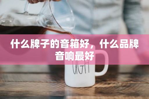 什么牌子的音箱好，什么品牌音响最好