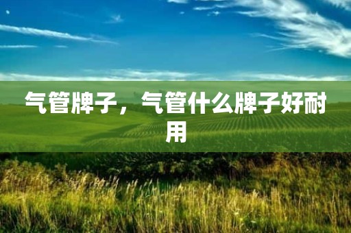 气管牌子，气管什么牌子好耐用