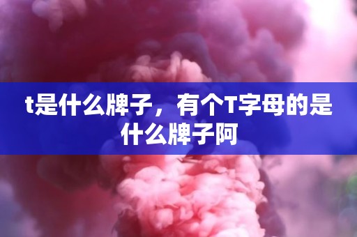 t是什么牌子，有个T字母的是什么牌子阿