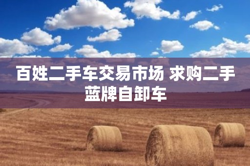 百姓二手车交易市场 求购二手蓝牌自卸车