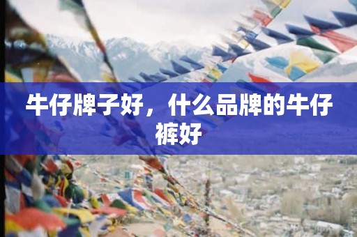 牛仔牌子好，什么品牌的牛仔裤好