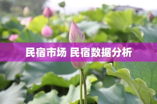 民宿市场 民宿数据分析