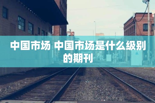 中国市场 中国市场是什么级别的期刊