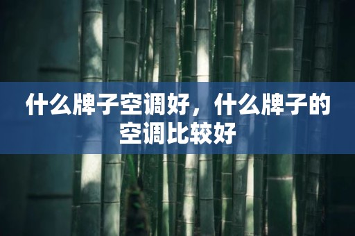 什么牌子空调好，什么牌子的空调比较好