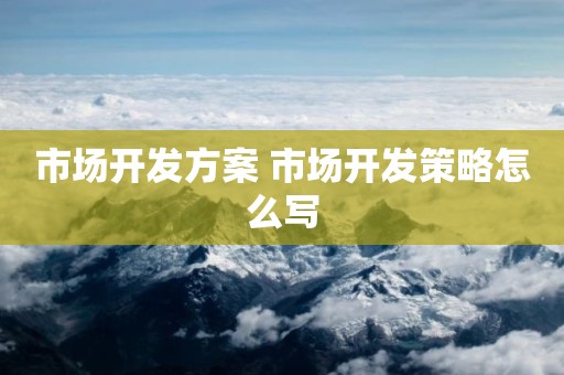 市场开发方案 市场开发策略怎么写