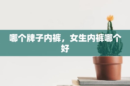 哪个牌子内裤，女生内裤哪个好