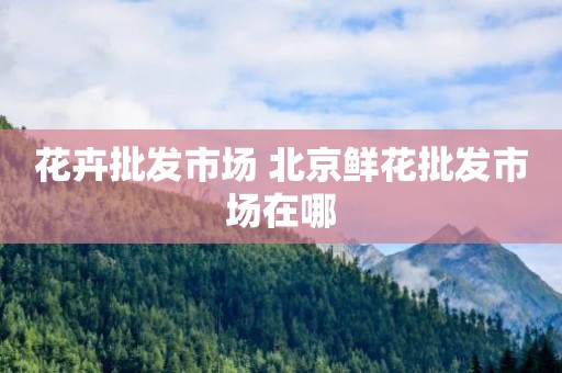 花卉批发市场 北京鲜花批发市场在哪