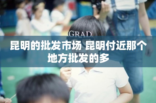 昆明的批发市场 昆明付近那个地方批发的多
