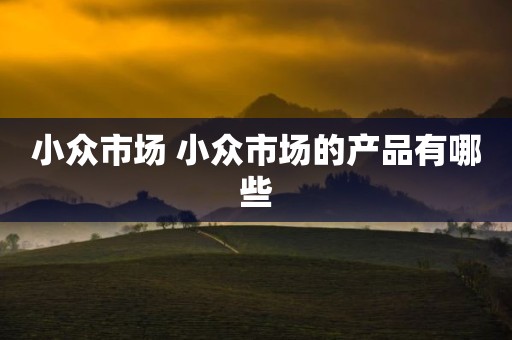 小众市场 小众市场的产品有哪些