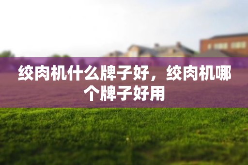 绞肉机什么牌子好，绞肉机哪个牌子好用