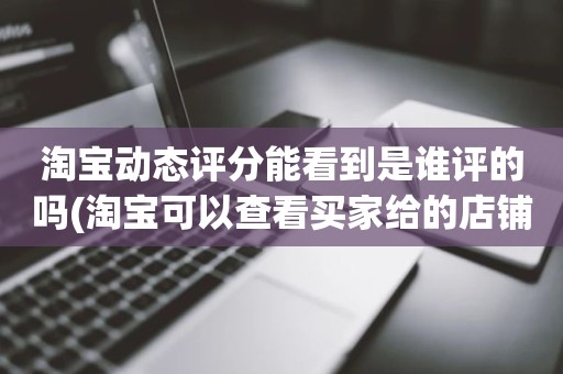 淘宝动态评分能看到是谁评的吗(淘宝可以查看买家给的店铺动态评分吗)