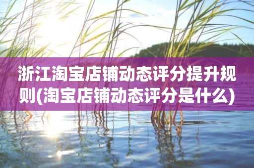 浙江淘宝店铺动态评分提升规则(淘宝店铺动态评分是什么)