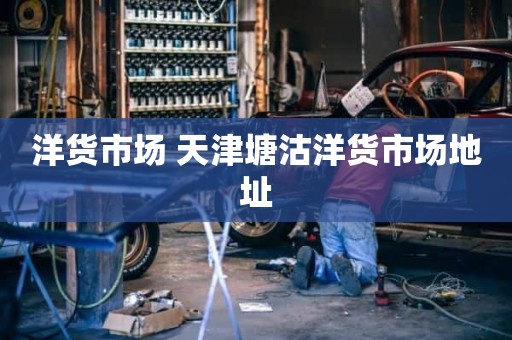 洋货市场 天津塘沽洋货市场地址