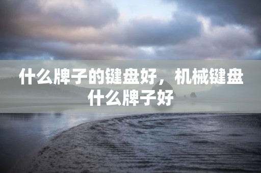 什么牌子的键盘好，机械键盘什么牌子好