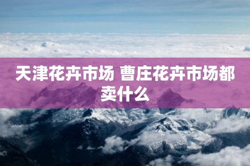 天津花卉市场 曹庄花卉市场都卖什么
