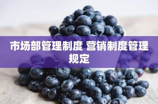 市场部管理制度 营销制度管理规定