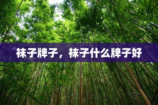 袜子牌子，袜子什么牌子好