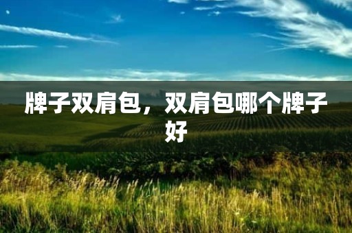 牌子双肩包，双肩包哪个牌子好