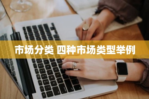 市场分类 四种市场类型举例