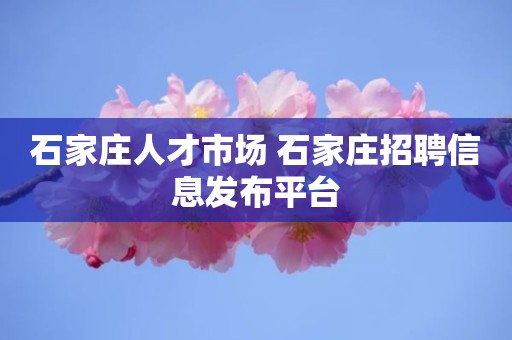 石家庄人才市场 石家庄招聘信息发布平台