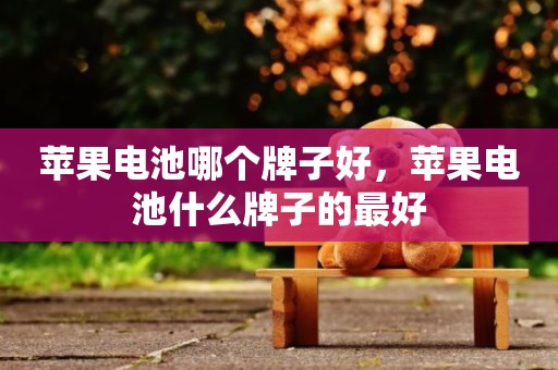 苹果电池哪个牌子好，苹果电池什么牌子的最好
