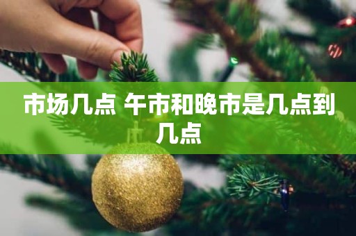 市场几点 午市和晚市是几点到几点
