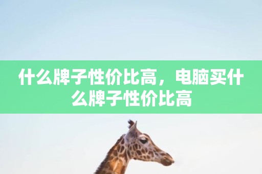 什么牌子性价比高，电脑买什么牌子性价比高