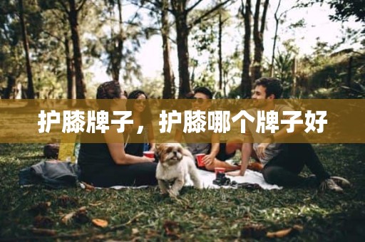 护膝牌子，护膝哪个牌子好