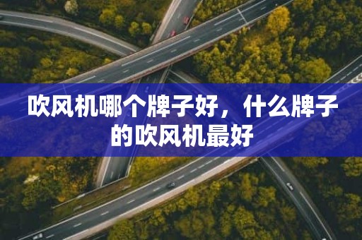 吹风机哪个牌子好，什么牌子的吹风机最好