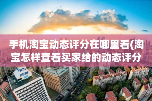 手机淘宝动态评分在哪里看(淘宝怎样查看买家给的动态评分)