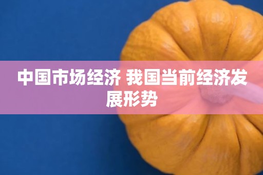 中国市场经济 我国当前经济发展形势