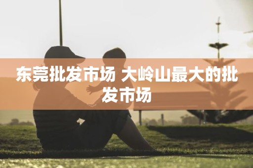东莞批发市场 大岭山最大的批发市场