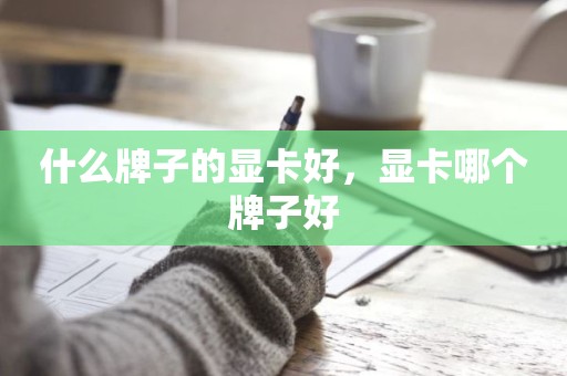 什么牌子的显卡好，显卡哪个牌子好