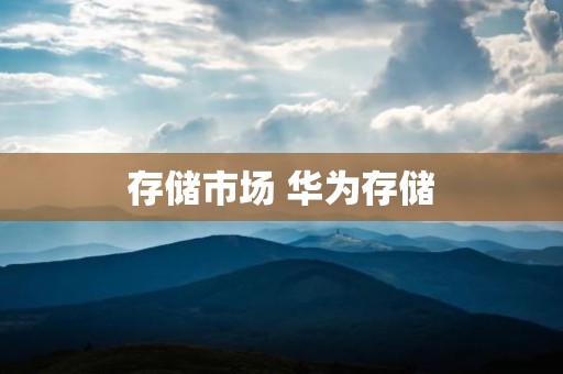 存储市场 华为存储