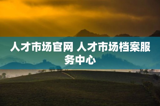 人才市场官网 人才市场档案服务中心